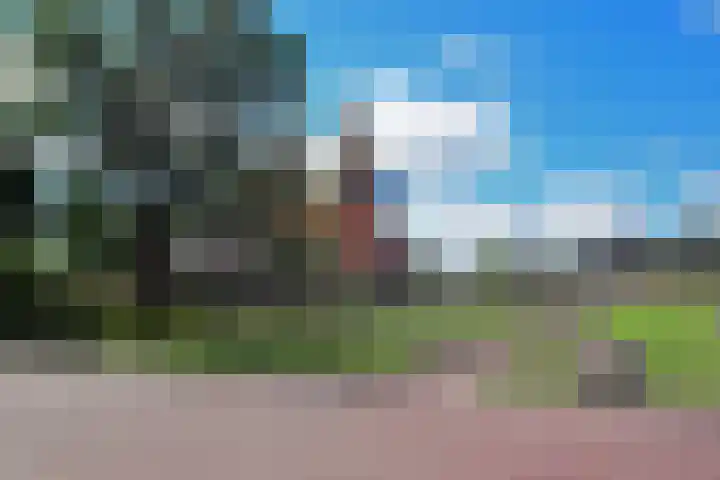 Beekpunge 111 Schoonebeek thumbnail 44