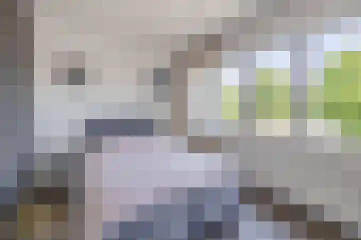 Beekpunge 128 Tegelen thumbnail 16