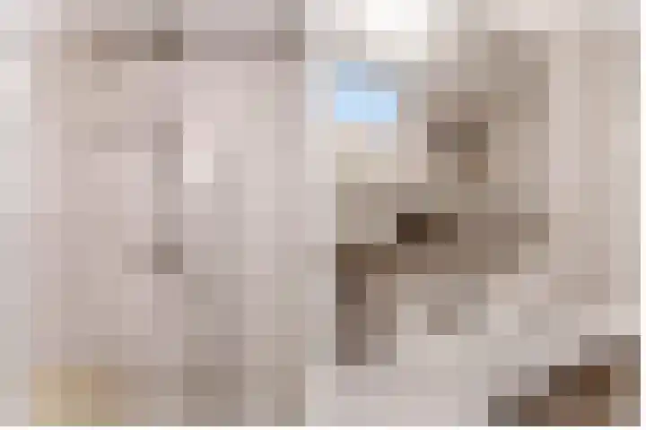 Beekpunge 128 Tegelen thumbnail 19