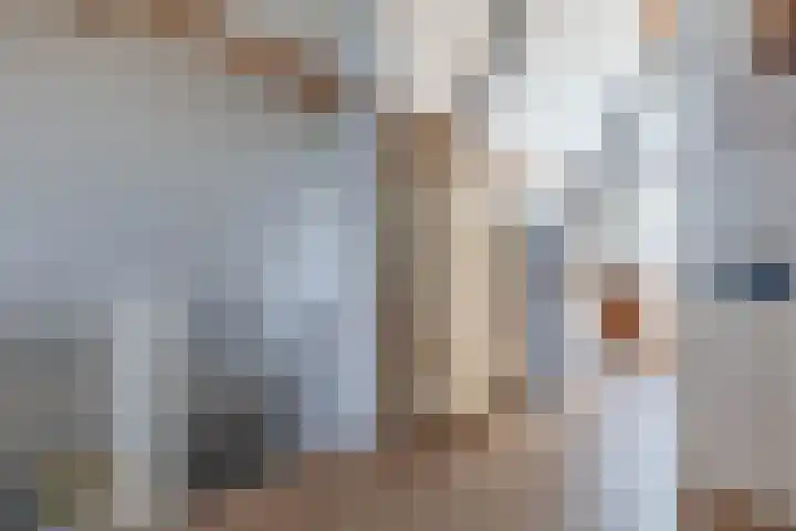 Beekpunge 128 Tegelen thumbnail 22