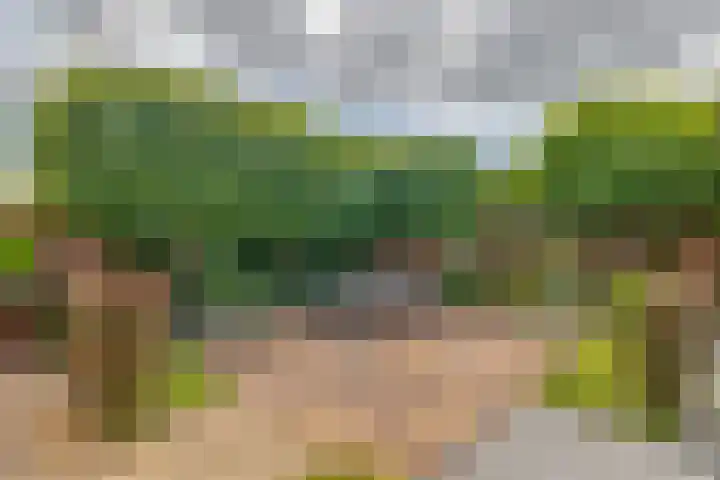 Beekpunge 128 Tegelen thumbnail 29