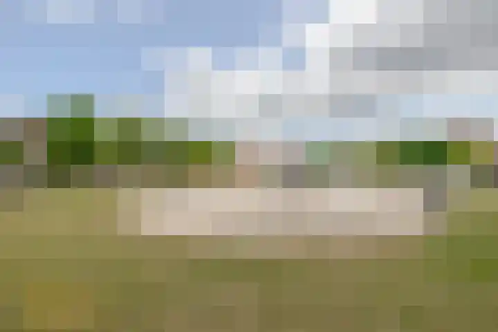 Beekpunge 128 Tegelen thumbnail 34