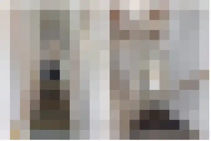 Beekpunge 148 Tegelen thumbnail 10