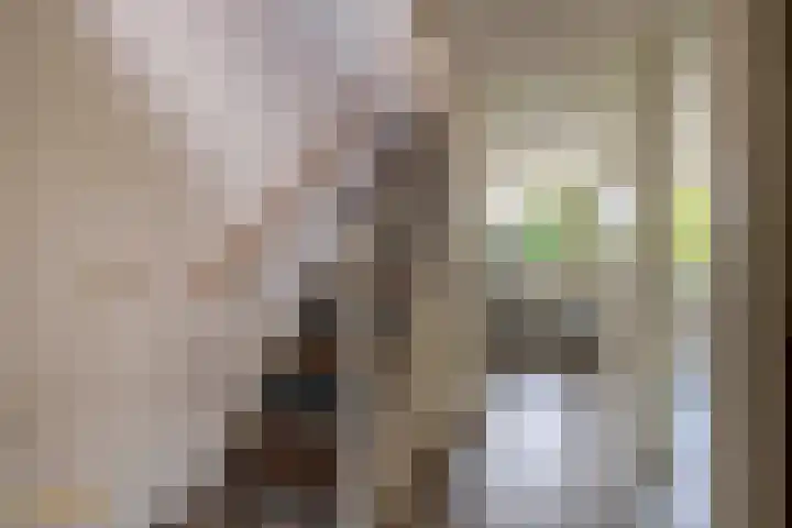Beekpunge 148 Tegelen thumbnail 15