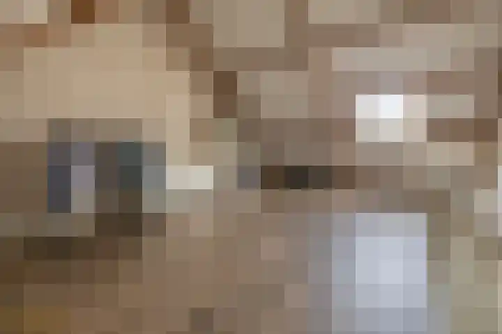 Beekpunge 148 Tegelen thumbnail 16