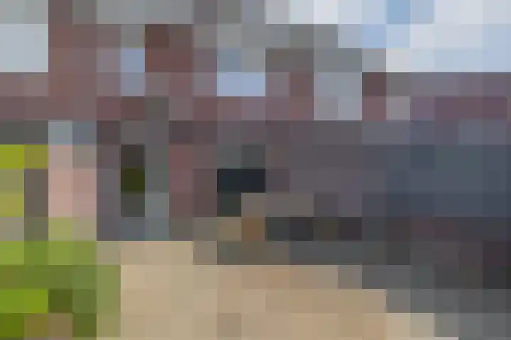Beekpunge 148 Tegelen thumbnail 18