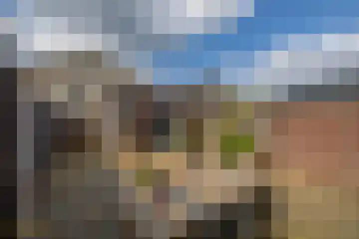 Beekpunge 148 Tegelen thumbnail 19