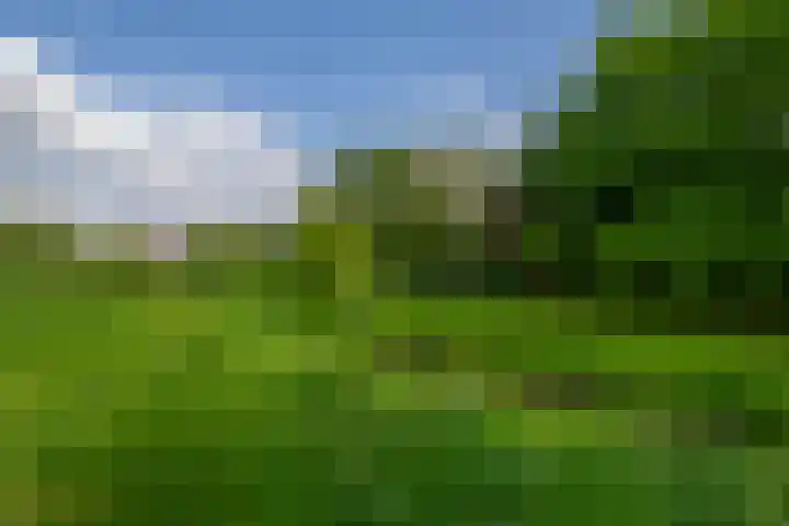 Beekpunge 148 Tegelen thumbnail 21