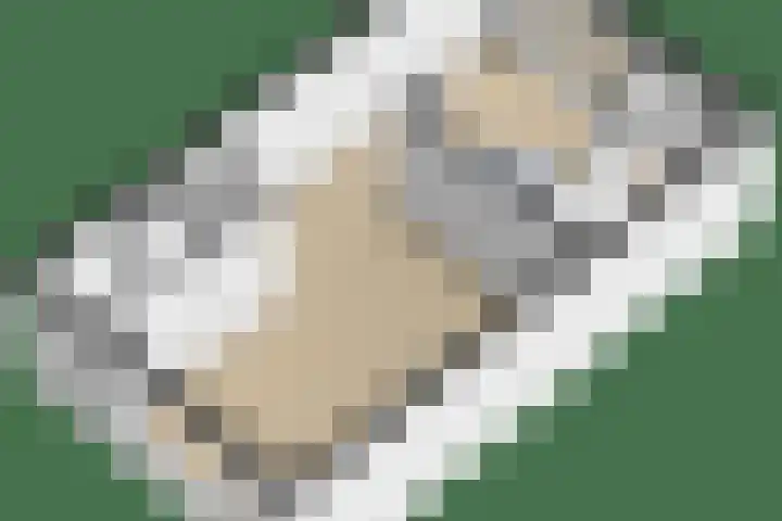 Beekpunge 148 Tegelen thumbnail 26