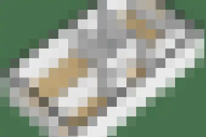 Beekpunge 148 Tegelen thumbnail 27