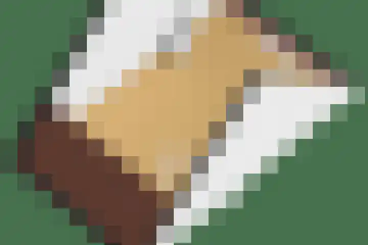 Beekpunge 148 Tegelen thumbnail 28