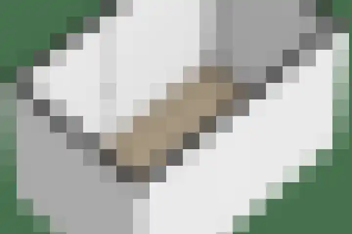 Beekpunge 148 Tegelen thumbnail 29