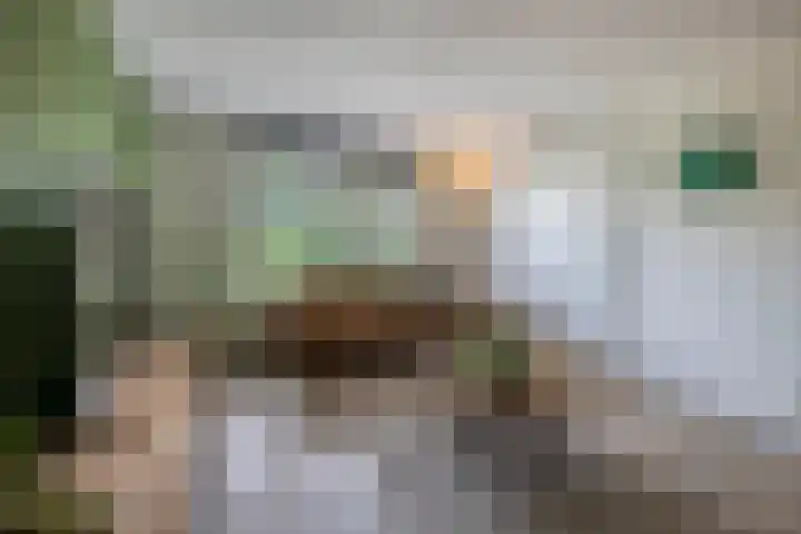 Beekpunge 148 Tegelen thumbnail 5