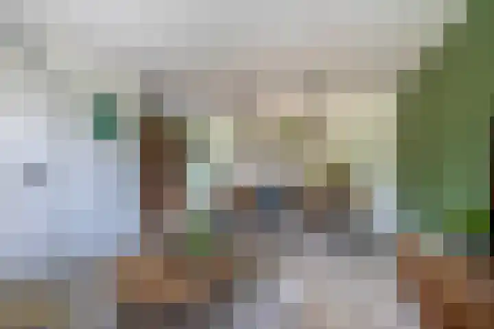 Beekpunge 148 Tegelen thumbnail 6