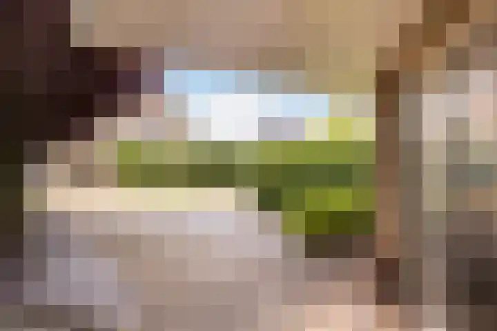 Beekpunge 28 Schoonebeek thumbnail 11