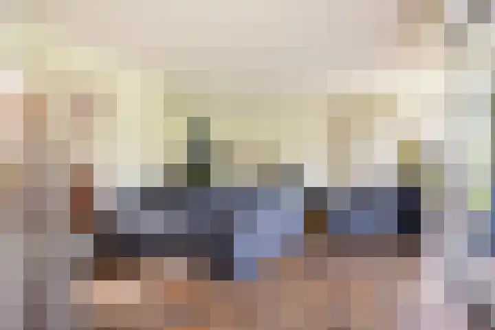 Beekpunge 28 Schoonebeek thumbnail 13