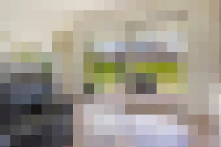 Beekpunge 28 Schoonebeek thumbnail 15