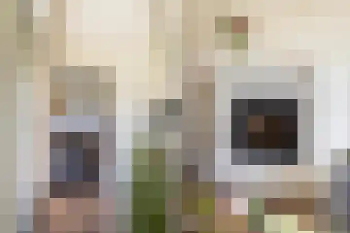 Beekpunge 28 Schoonebeek thumbnail 17