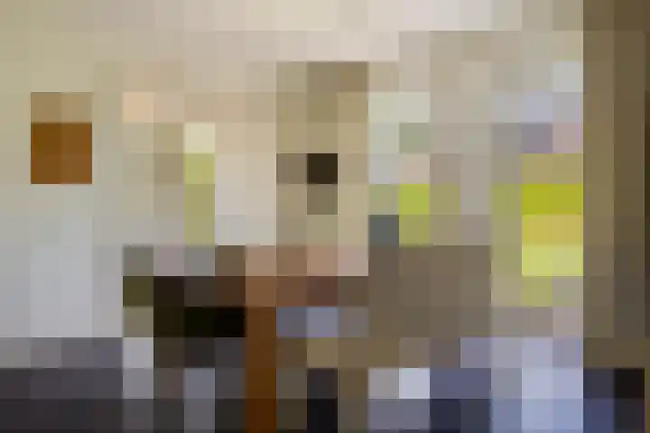 Beekpunge 28 Schoonebeek thumbnail 19