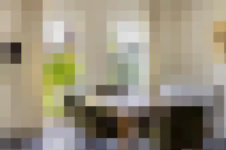 Beekpunge 28 Schoonebeek thumbnail 20