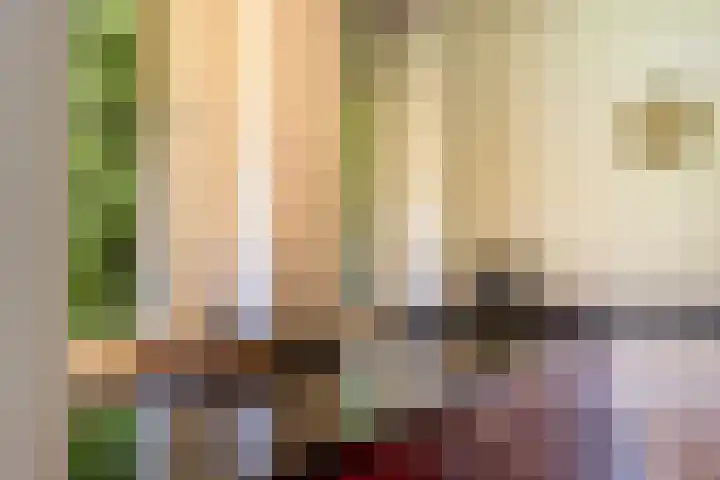 Beekpunge 28 Schoonebeek thumbnail 26