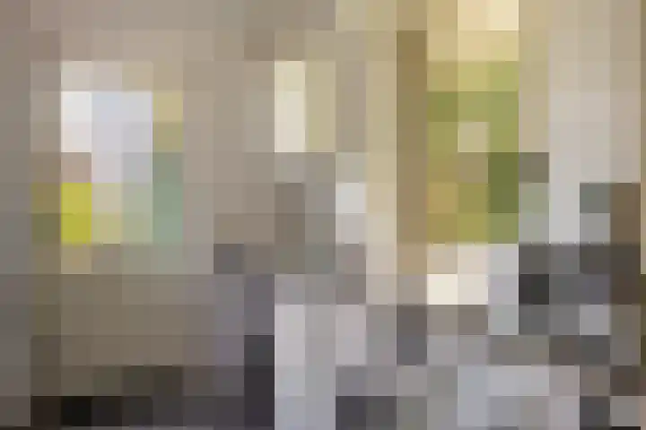 Beekpunge 28 Schoonebeek thumbnail 27