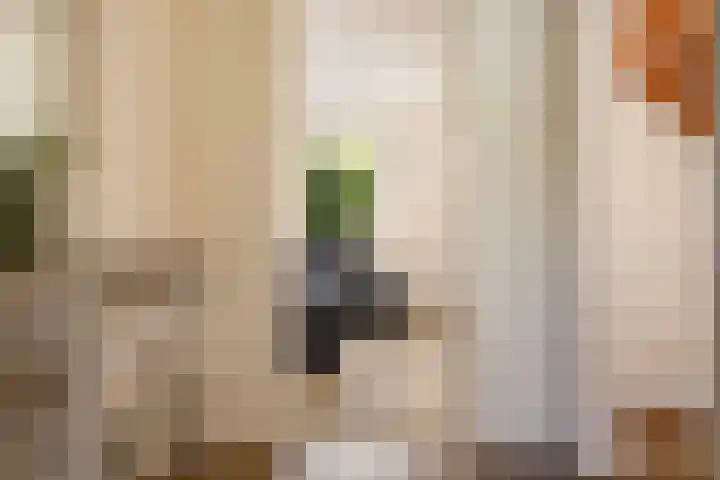 Beekpunge 28 Schoonebeek thumbnail 29