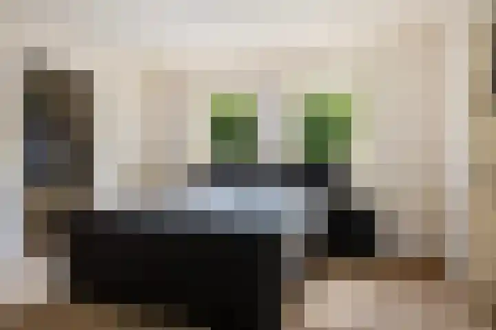 Beekpunge 28 Schoonebeek thumbnail 30