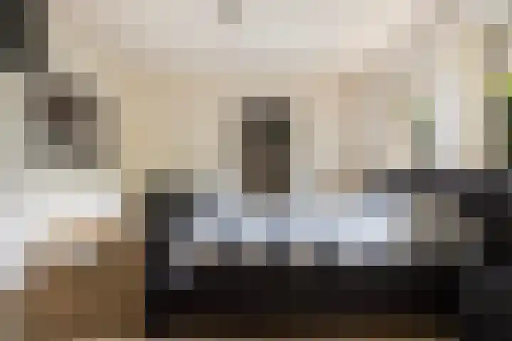 Beekpunge 28 Schoonebeek thumbnail 31