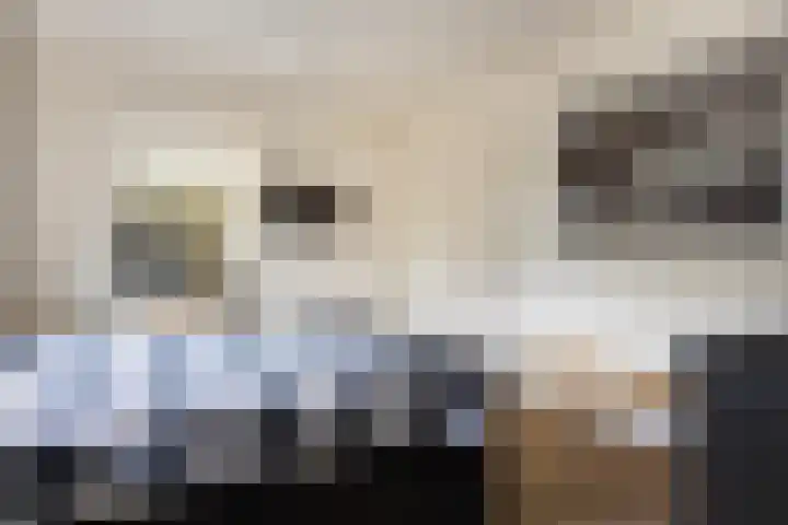 Beekpunge 28 Schoonebeek thumbnail 32
