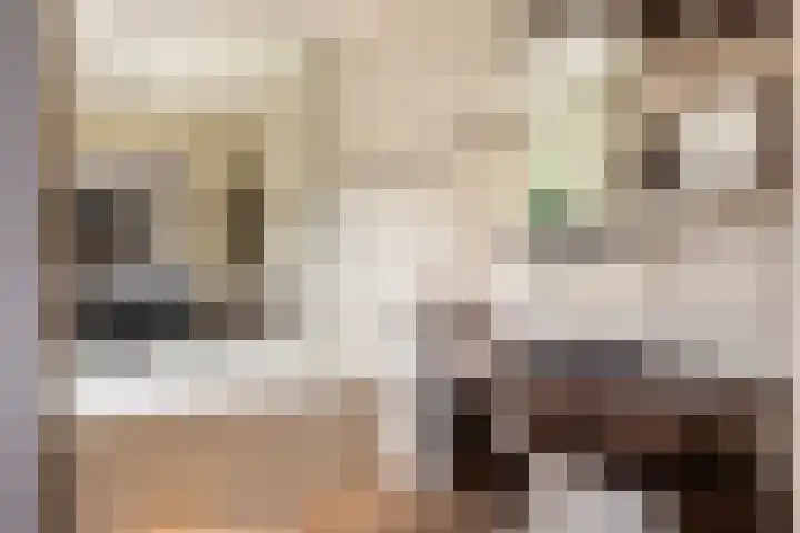 Beekpunge 28 Schoonebeek thumbnail 33