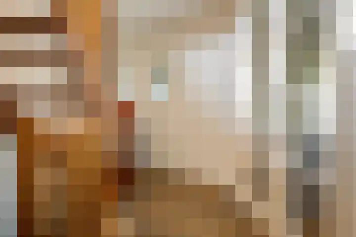 Beekpunge 28 Schoonebeek thumbnail 36