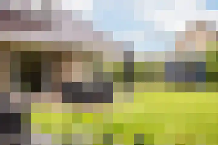 Beekpunge 28 Schoonebeek thumbnail 4