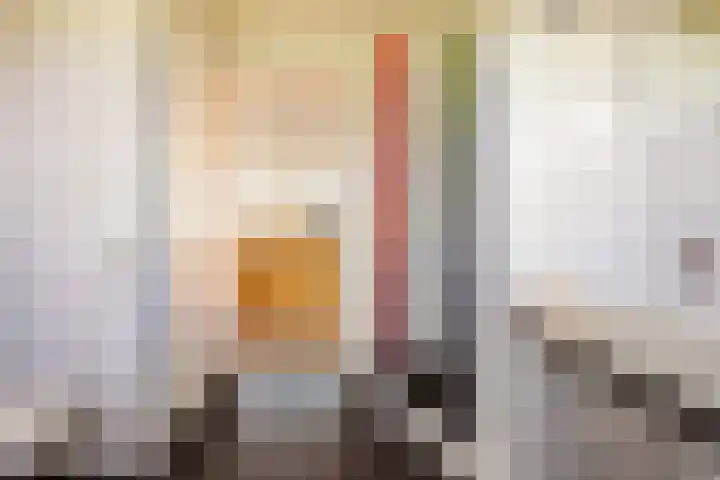 Beekpunge 28 Schoonebeek thumbnail 48