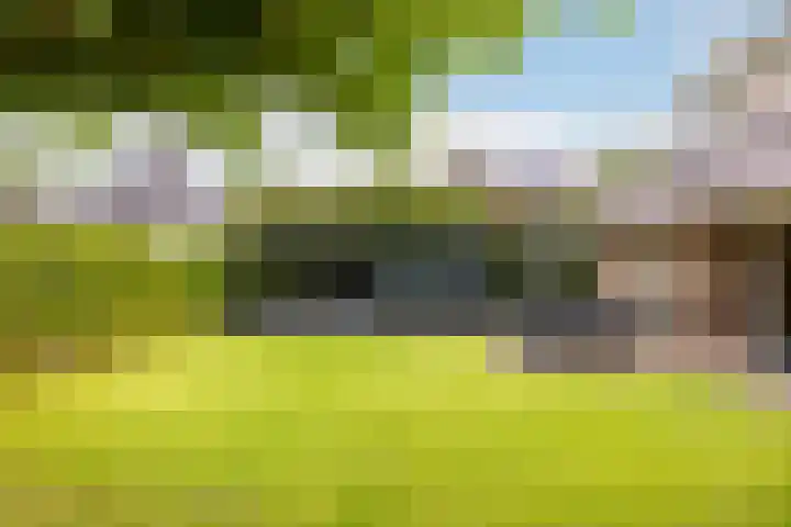 Beekpunge 28 Schoonebeek thumbnail 5