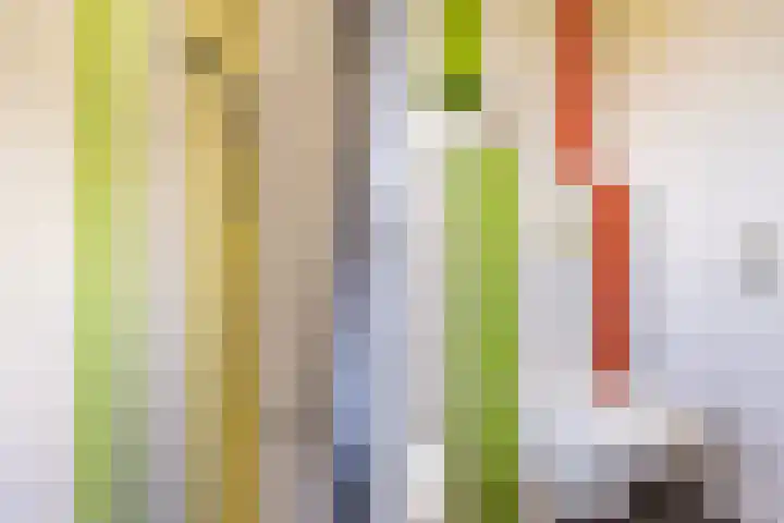 Beekpunge 28 Schoonebeek thumbnail 50