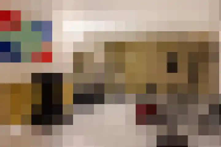 Beekpunge 28 Schoonebeek thumbnail 55
