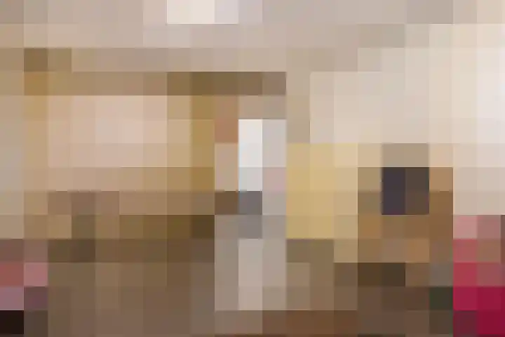 Beekpunge 28 Schoonebeek thumbnail 57