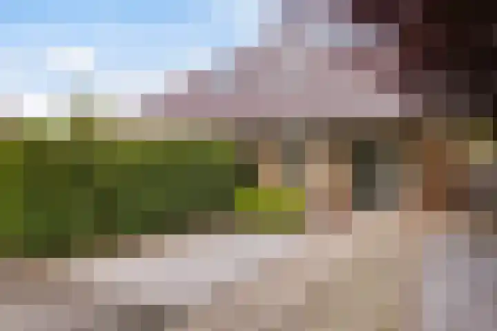 Beekpunge 28 Schoonebeek thumbnail 59