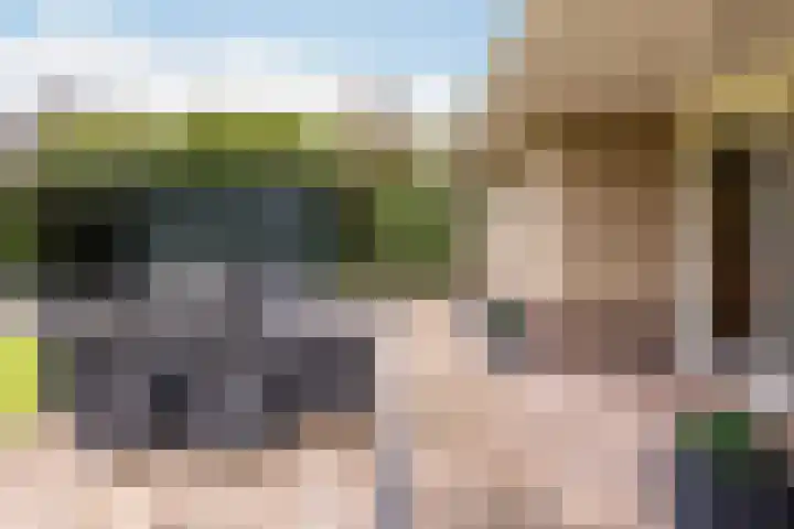 Beekpunge 28 Schoonebeek thumbnail 6