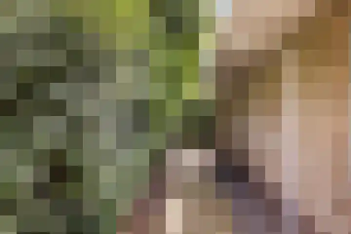 Beekpunge 28 Schoonebeek thumbnail 61