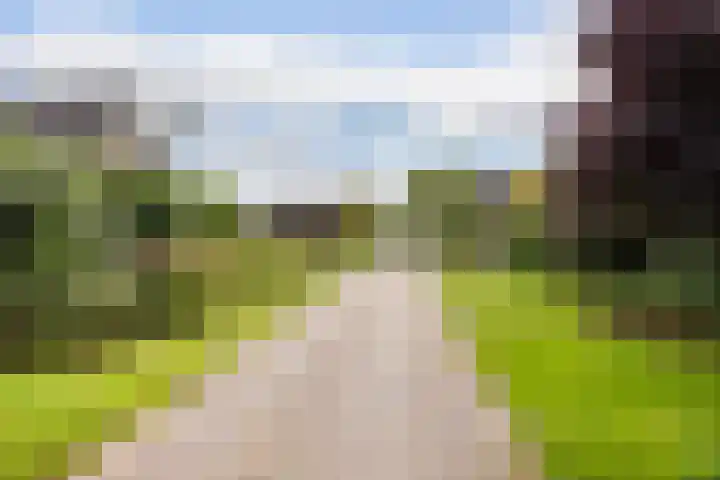 Beekpunge 28 Schoonebeek thumbnail 63