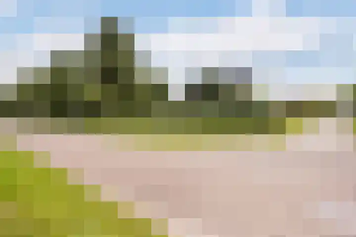 Beekpunge 28 Schoonebeek thumbnail 64