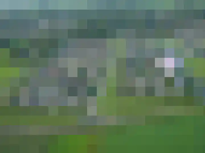 Beekpunge 28 Schoonebeek thumbnail 65