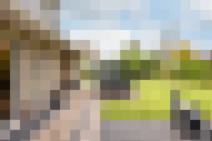 Beekpunge 28 Schoonebeek thumbnail 7