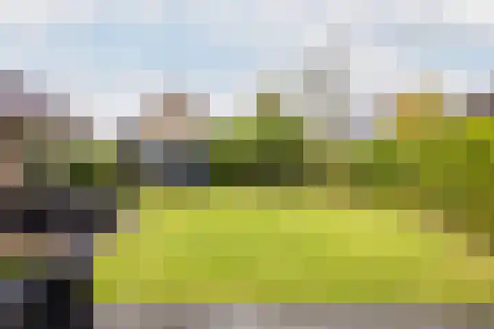 Beekpunge 28 Schoonebeek thumbnail 8
