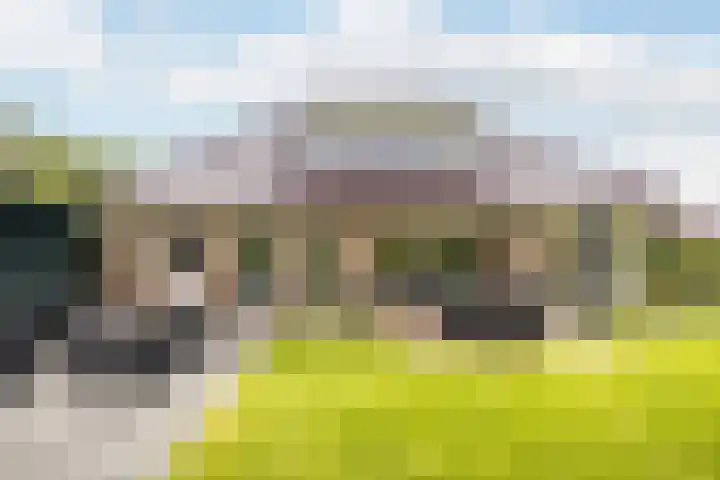 Beekpunge 28 Schoonebeek thumbnail 9