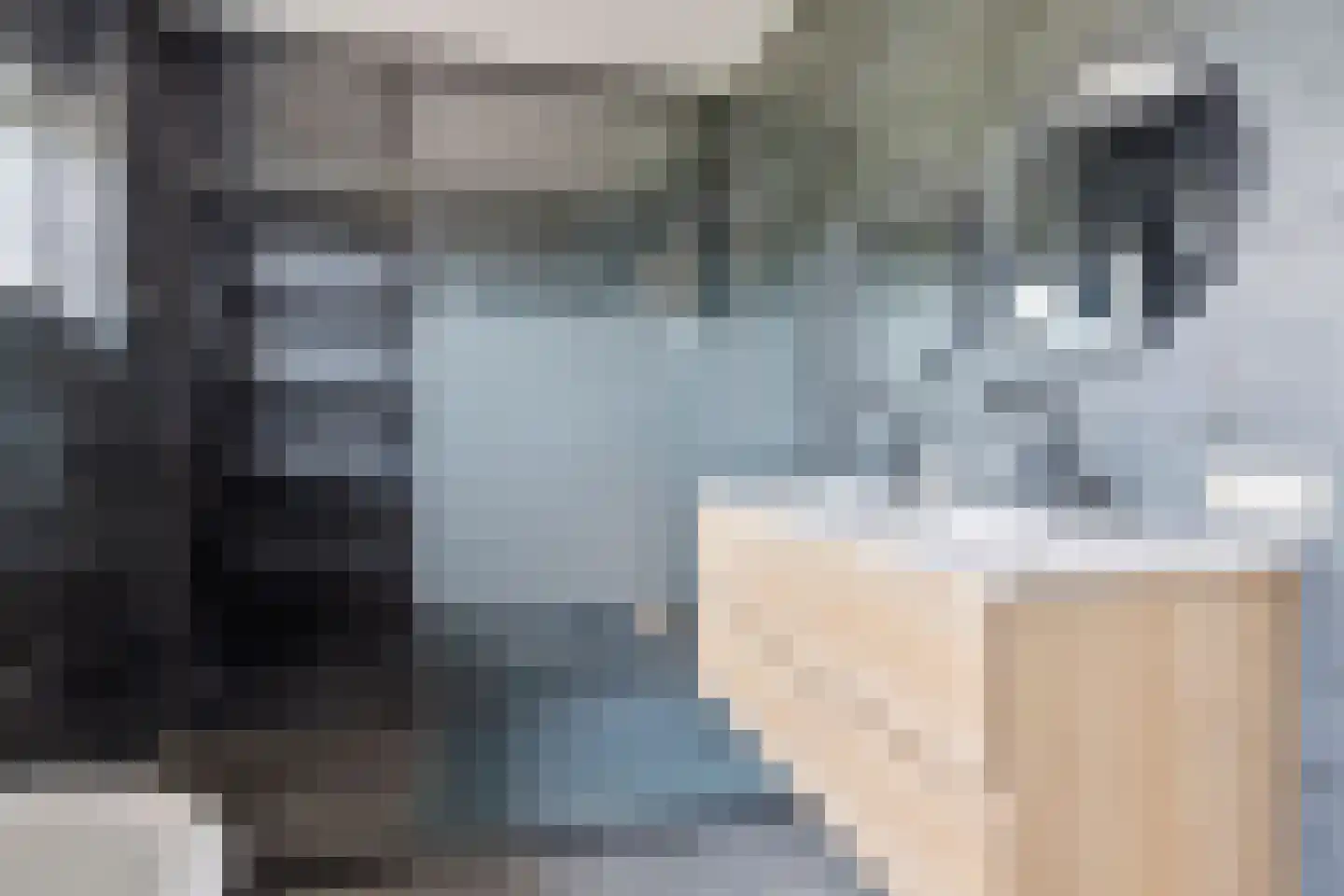 Beekpunge 34 Schoonebeek thumbnail 18