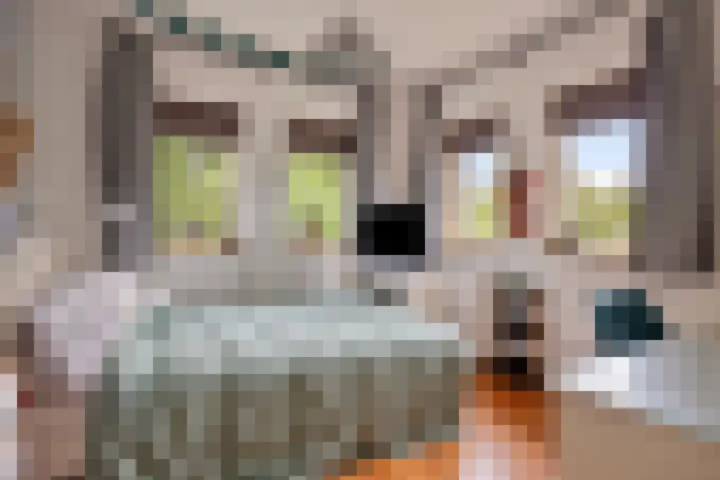 Beekpunge 34 Schoonebeek thumbnail 19