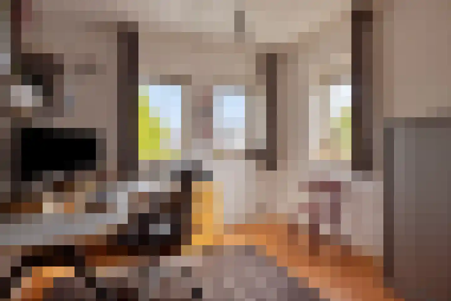 Beekpunge 34 Schoonebeek thumbnail 20